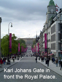 Karl Johans Gate in front of the Royal Palace.